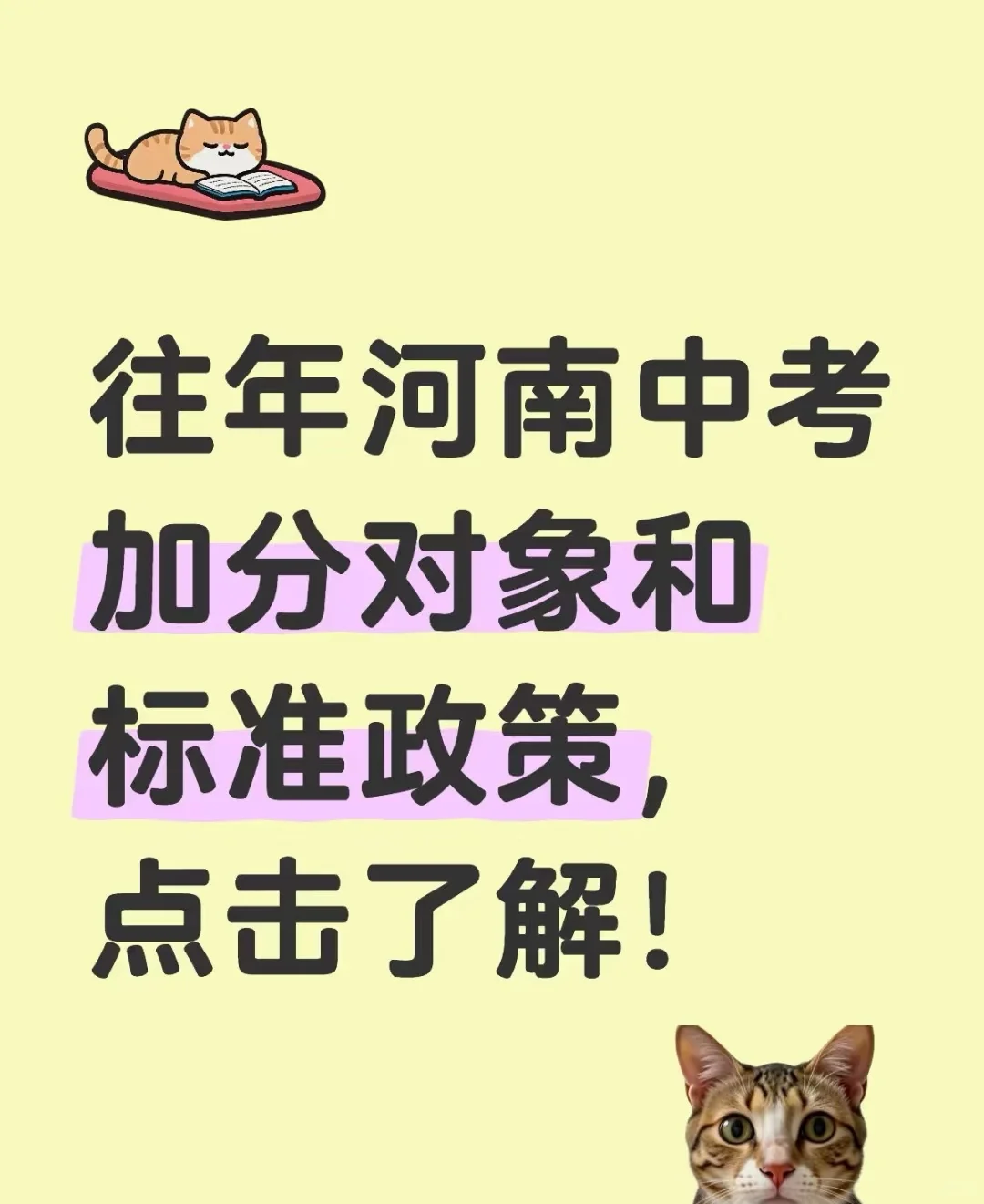 河南中考加分政策、加分对象是谁