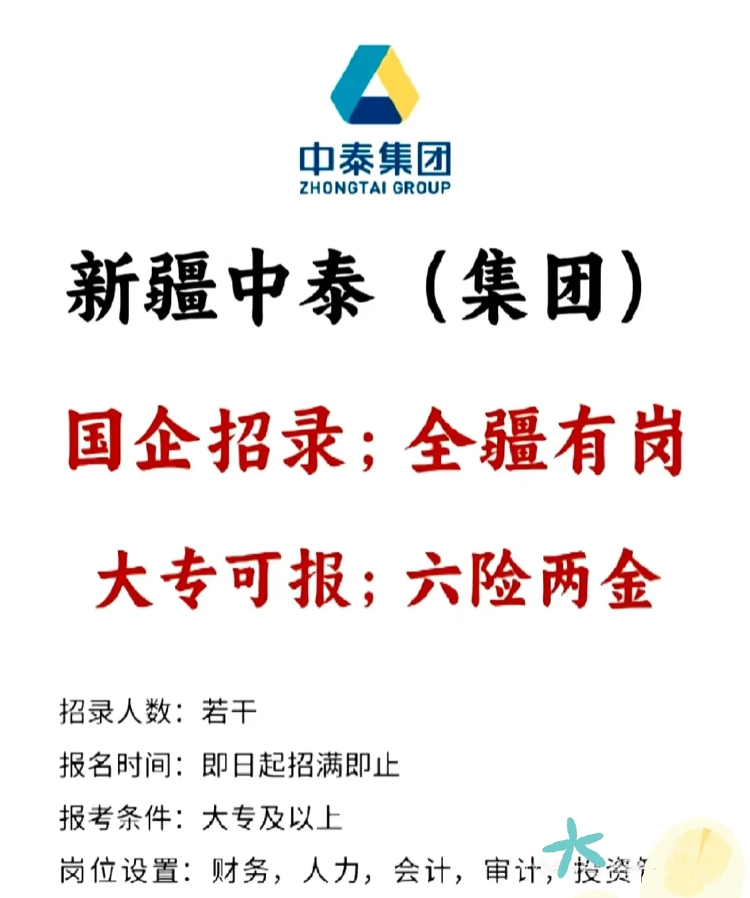 国企！大专可报！新疆中泰集团招聘！新疆中