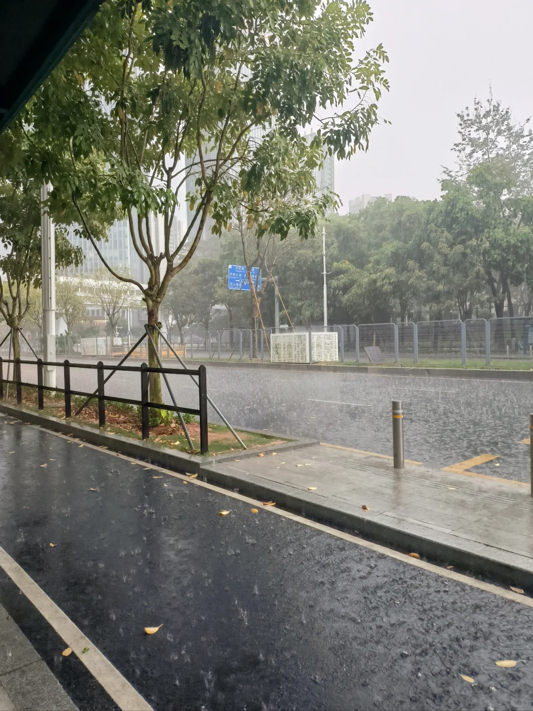 暴雨天赴深去编外考试