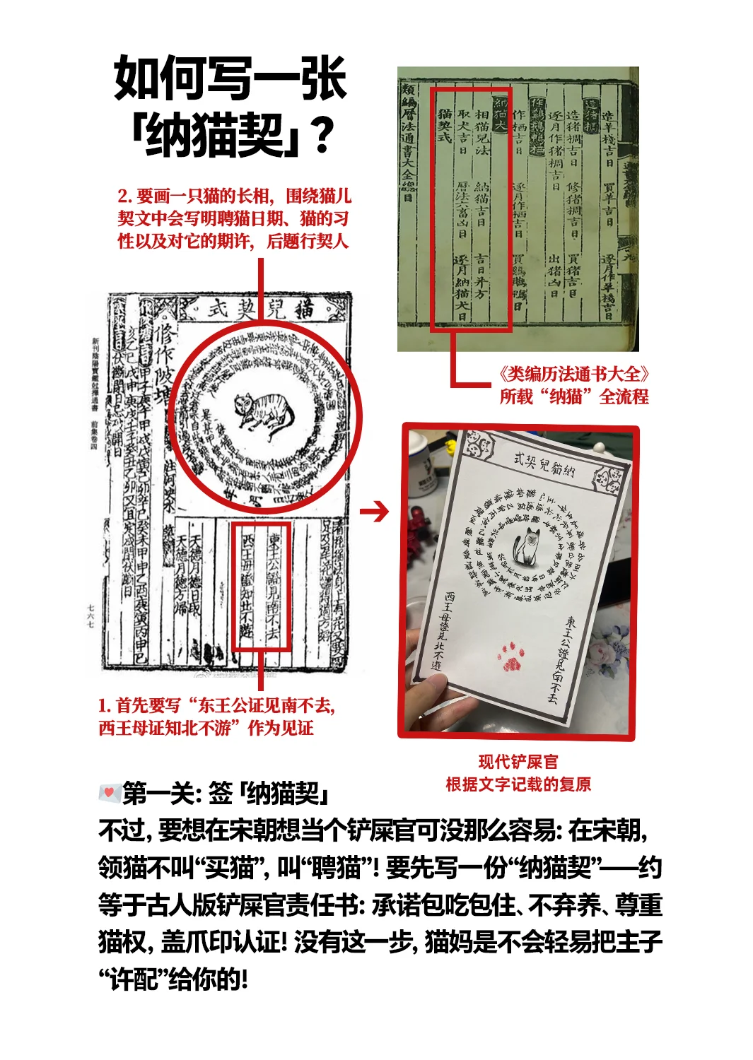 想当大宋铲屎官？先过猫妈彩?礼关！