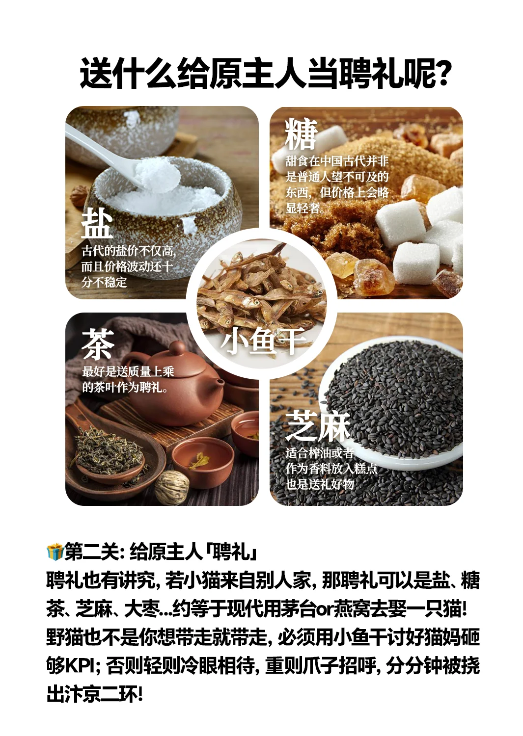 想当大宋铲屎官？先过猫妈彩?礼关！