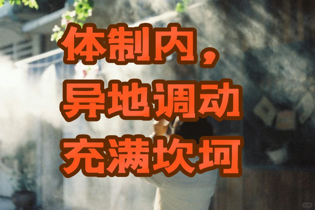 体制内异地调动详细全流程