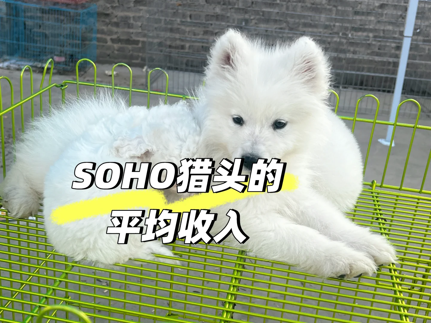 Soho 猎头的收入怎么样？