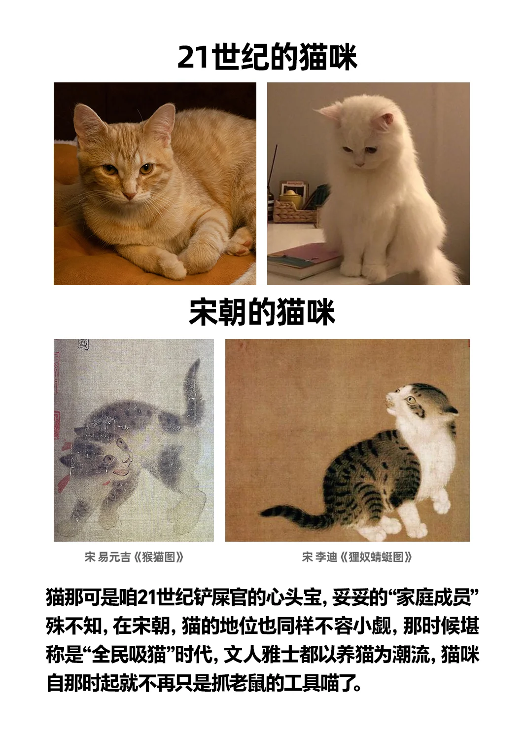 想当大宋铲屎官？先过猫妈彩?礼关！