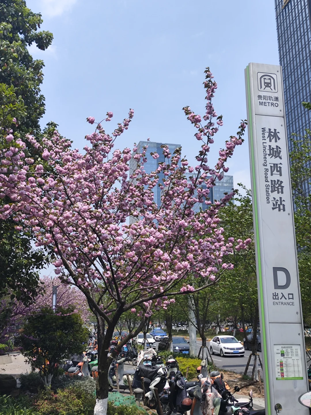 贵阳找工作｜全是一些片子