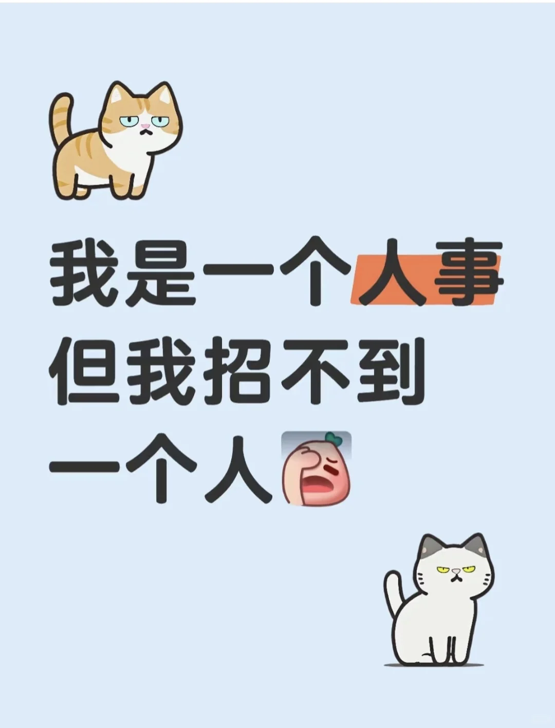 兴庆区招聘了