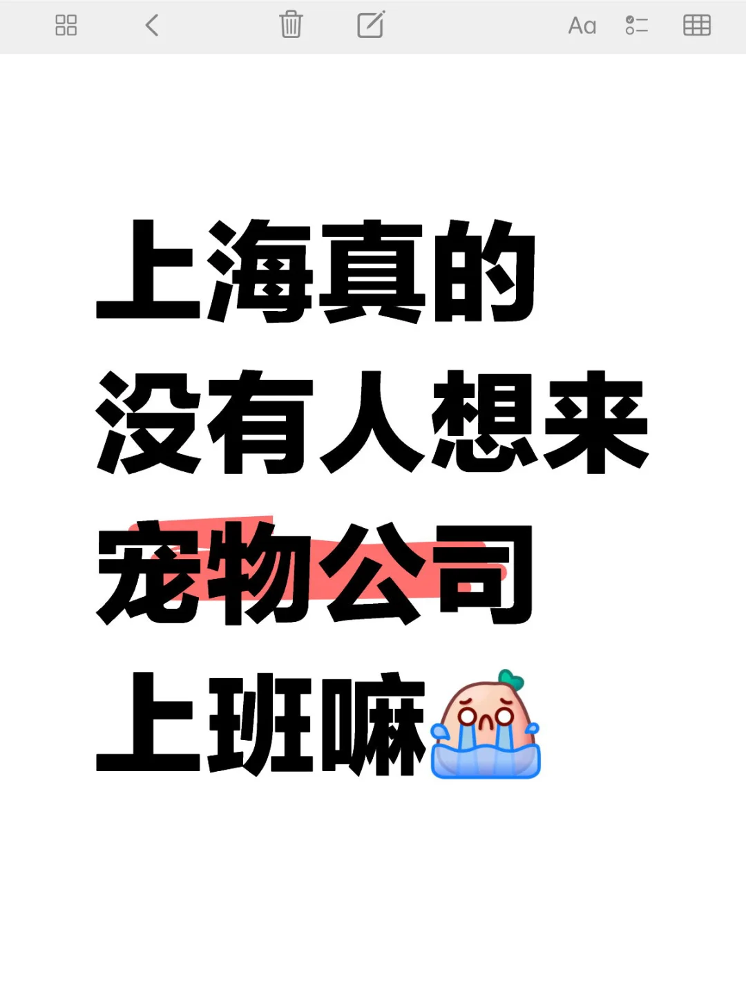 上海宠物公司招市场专员啦