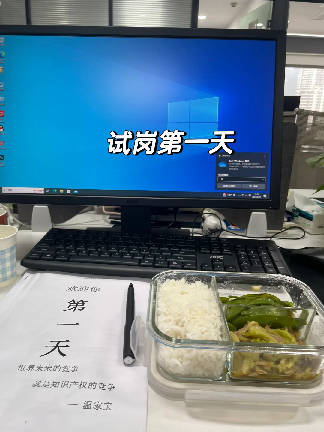 试岗第一天