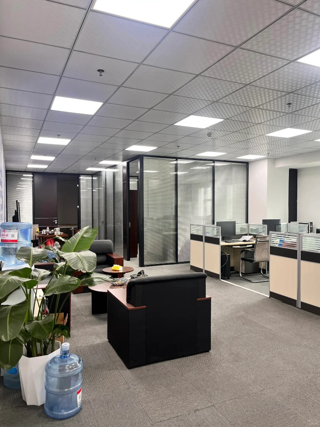 新店急招文员