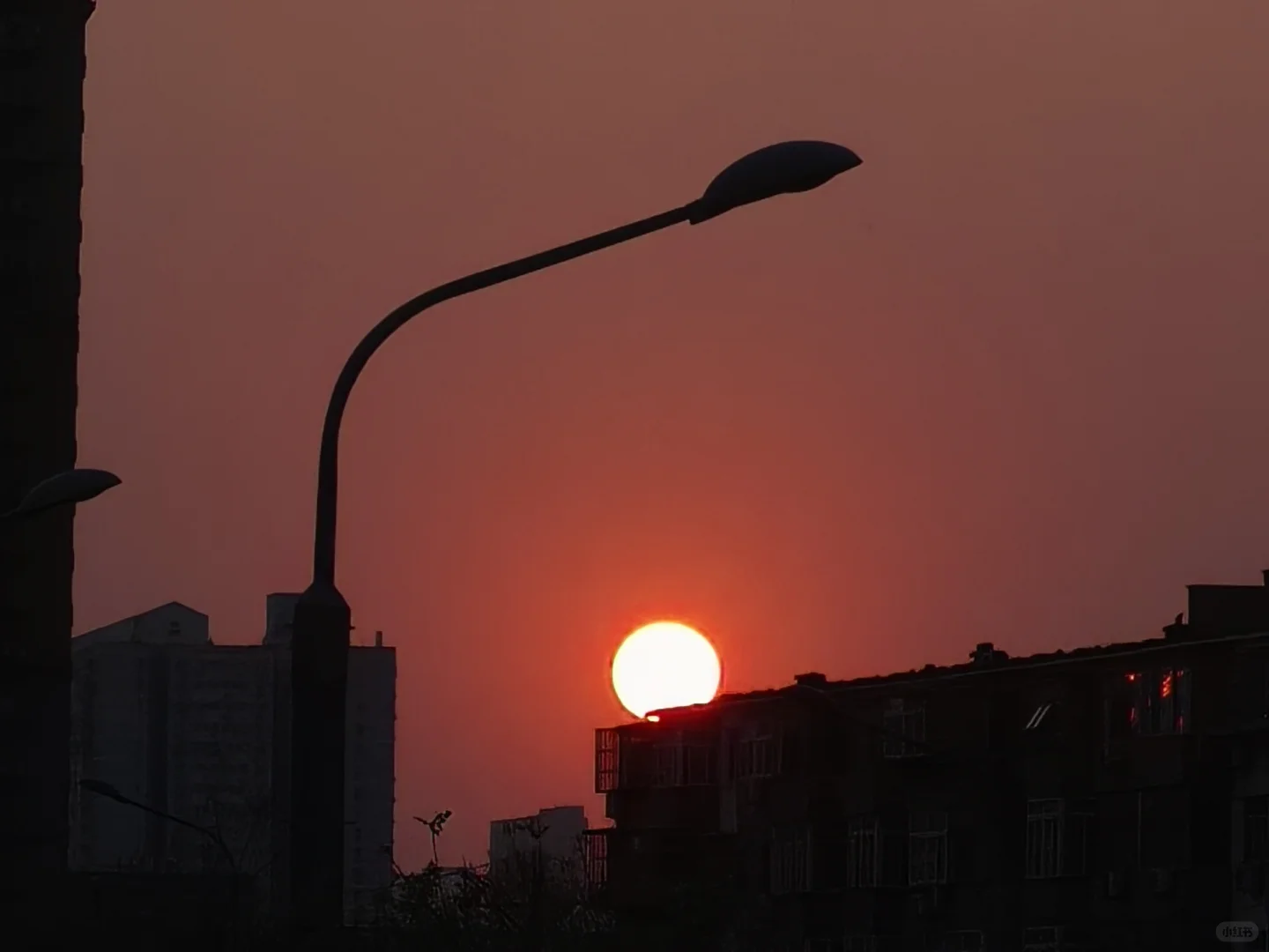 吾日三省吾身