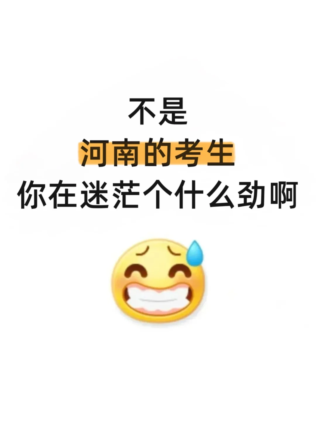 不是，河南考生你在迷茫个什么劲啊啊啊