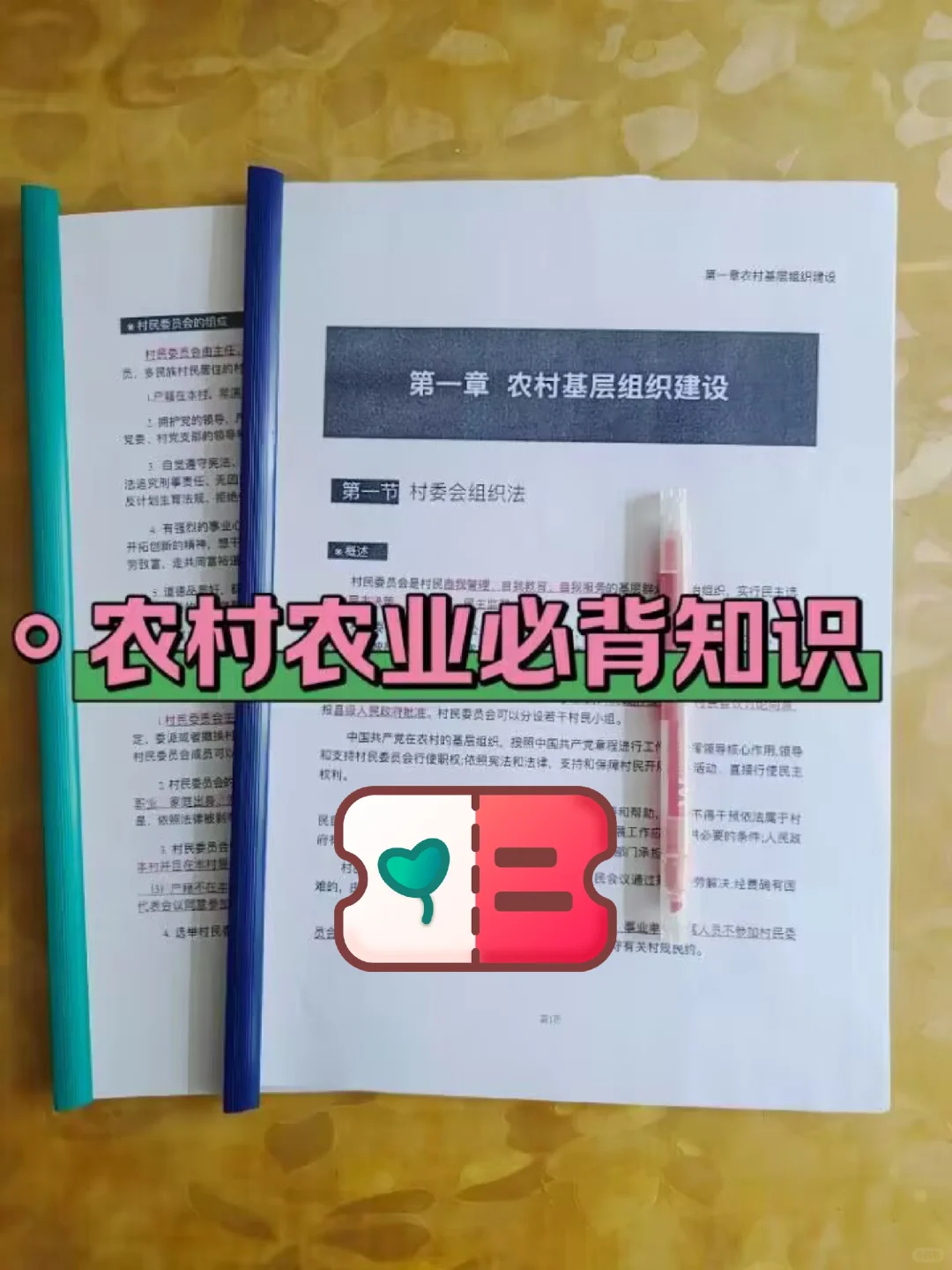 邯郸丛台区农村党务工作者，姐瞬间不急了