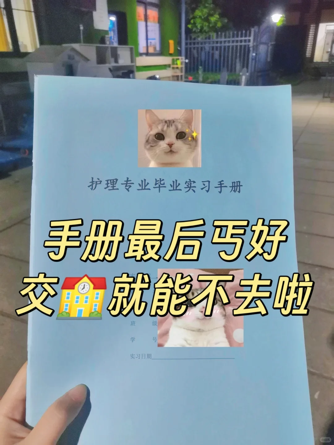 自联实习真香