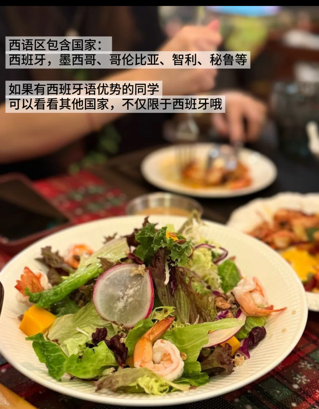 西班牙??机会｜全球视野，小语种可投递‼️