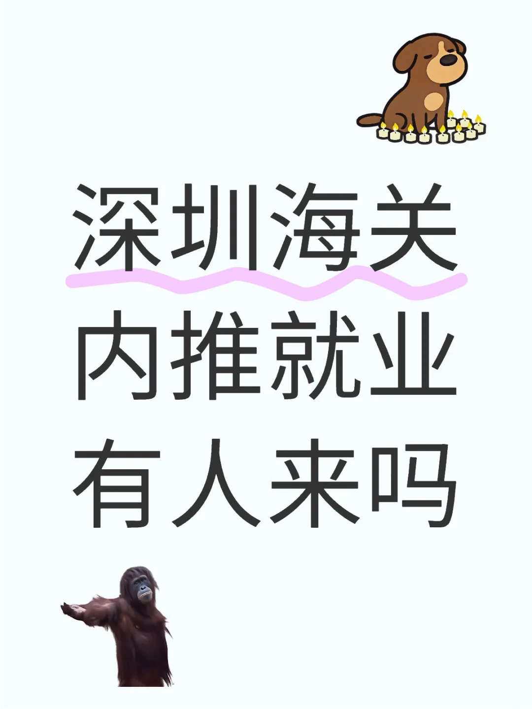 深圳海关