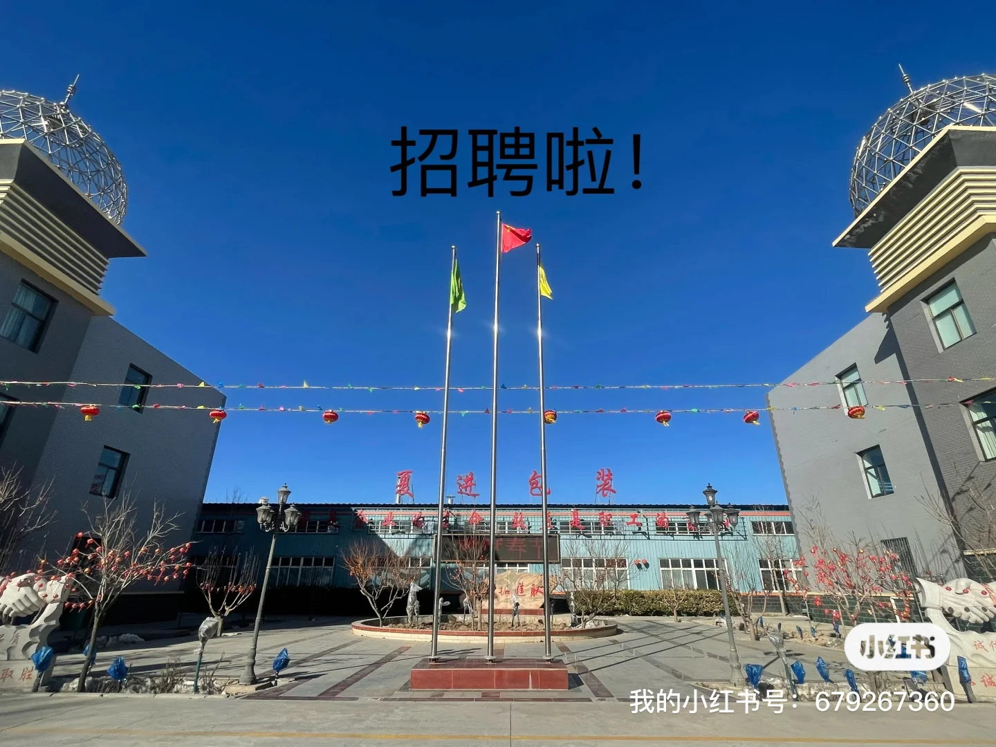 坐标宁夏吴忠市的宝子们看过来。