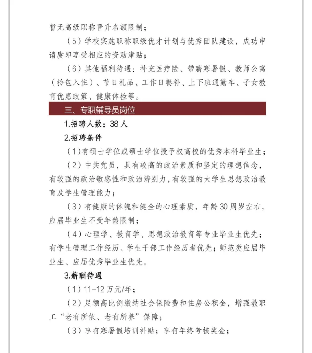 硕士可报｜湛江科技学院2025年招聘优秀人才