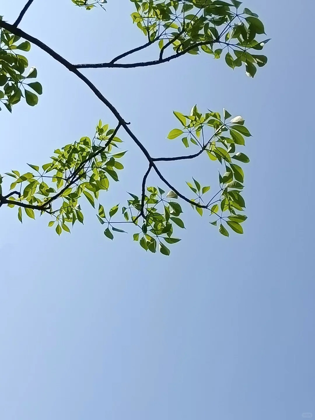 好工作大部分都不在Boss直聘:5种求职渠道