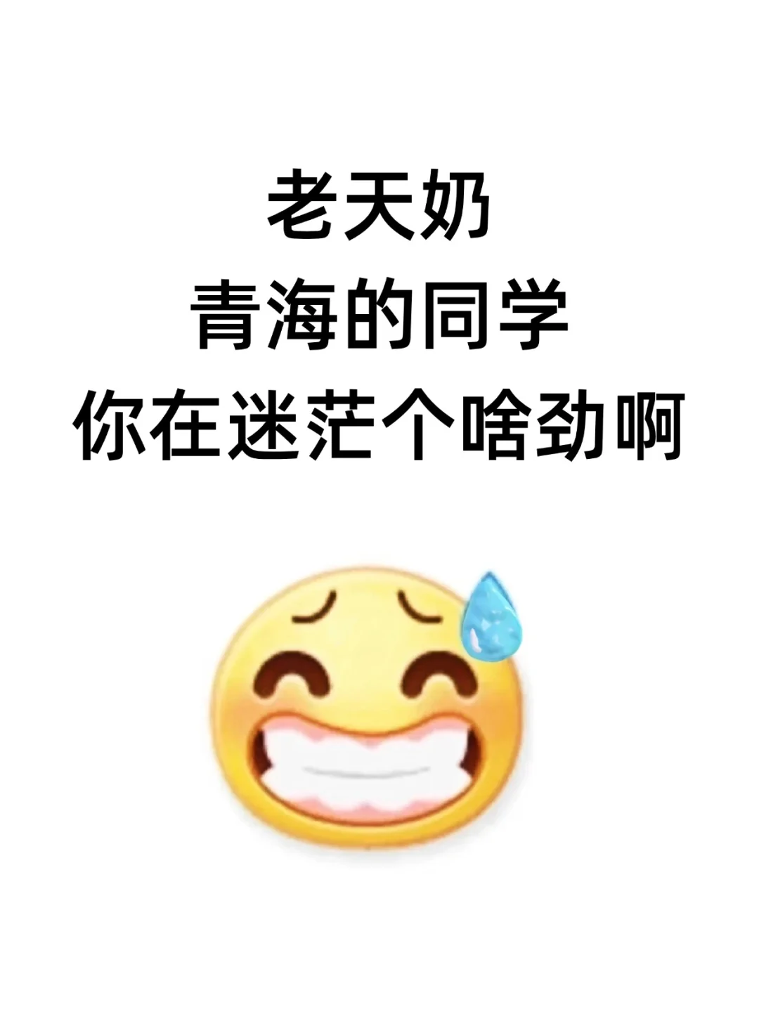 老天奶，青海的同学，你再迷茫啥个劲啊？