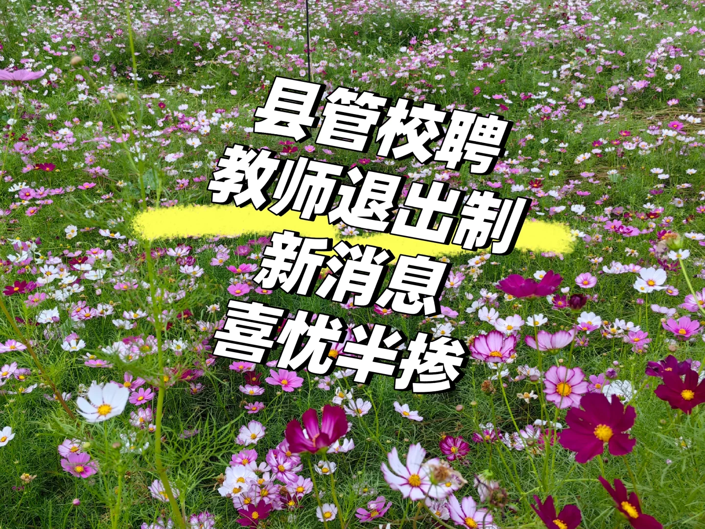 整个市的落聘教师从17增加到了20人