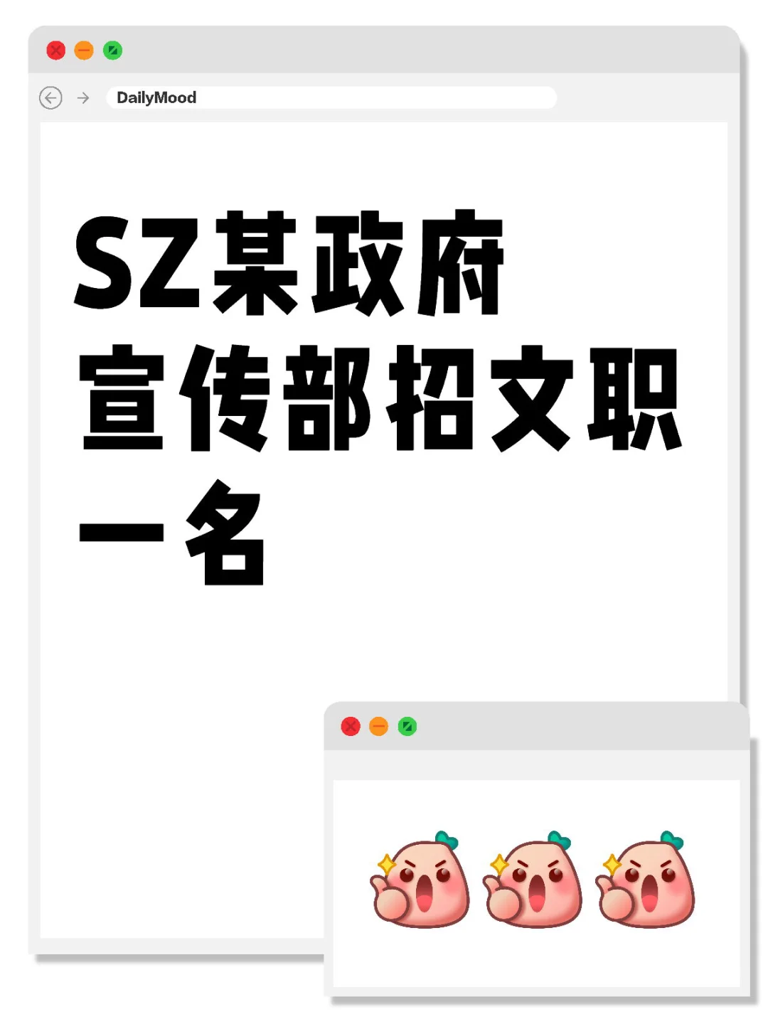 SZ某政府宣传部招文职一名