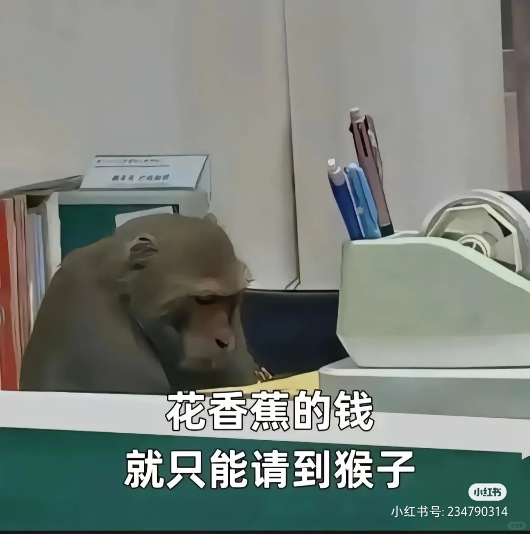 我一个月工资才2000把我当法官助理?