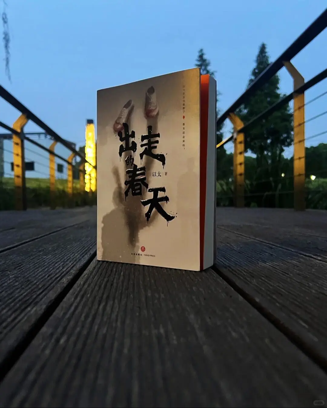 这一本真的超级好看???