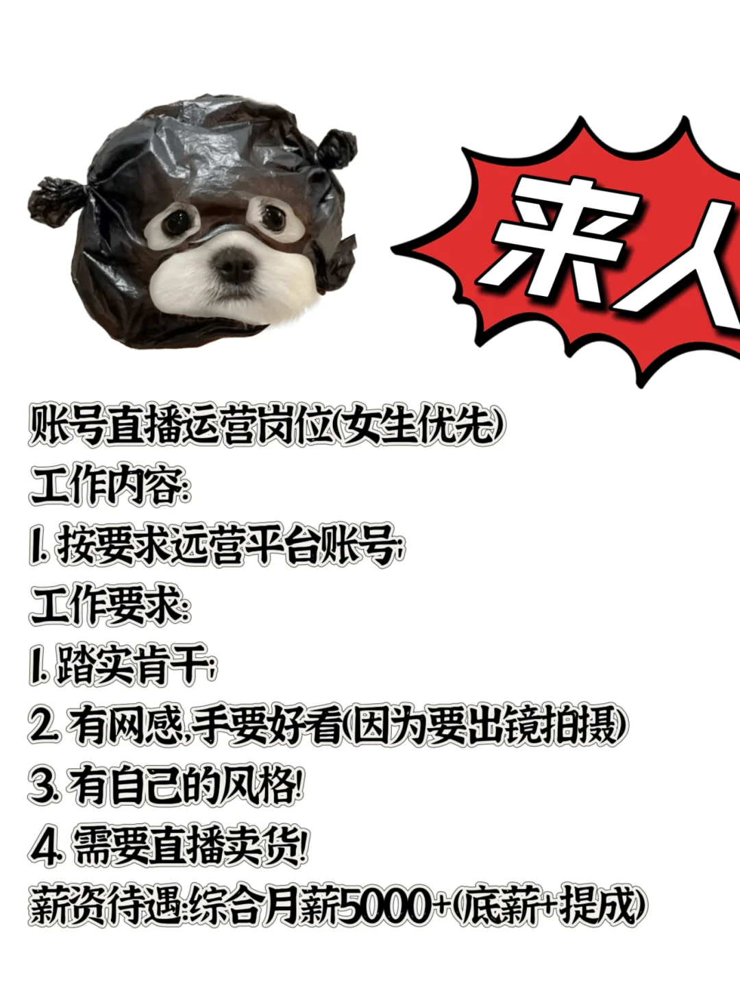 招聘 招聘！