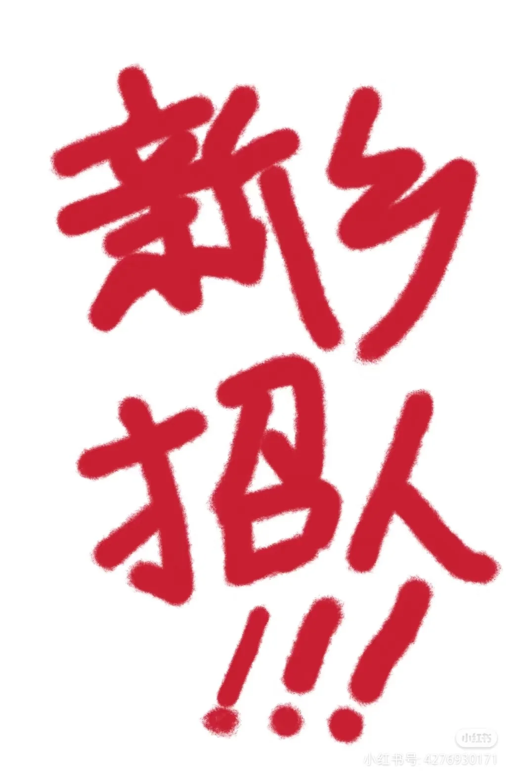 招老师