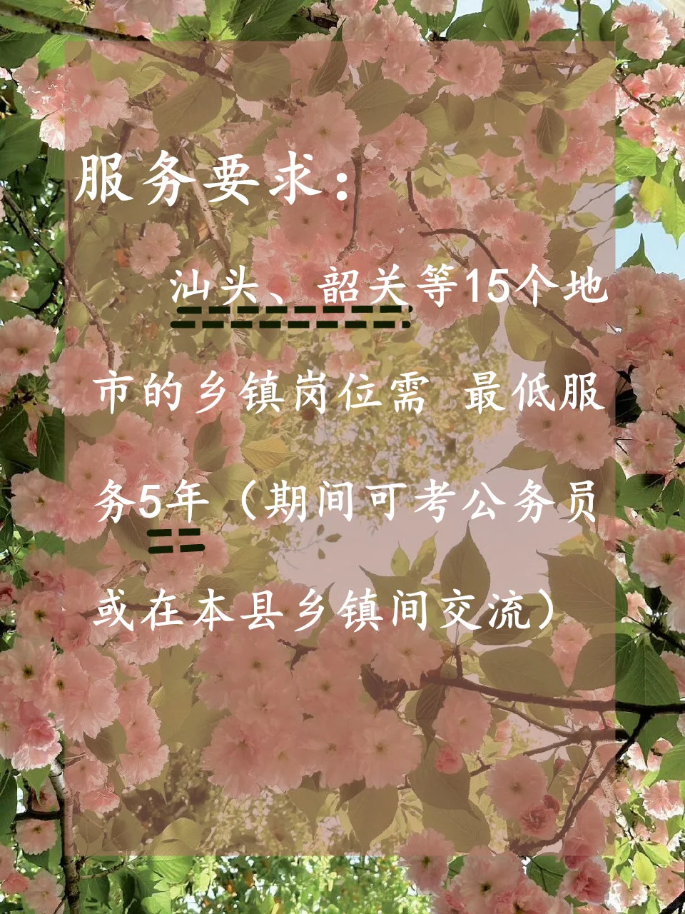 25广东公开招聘高层次和急需紧缺人才