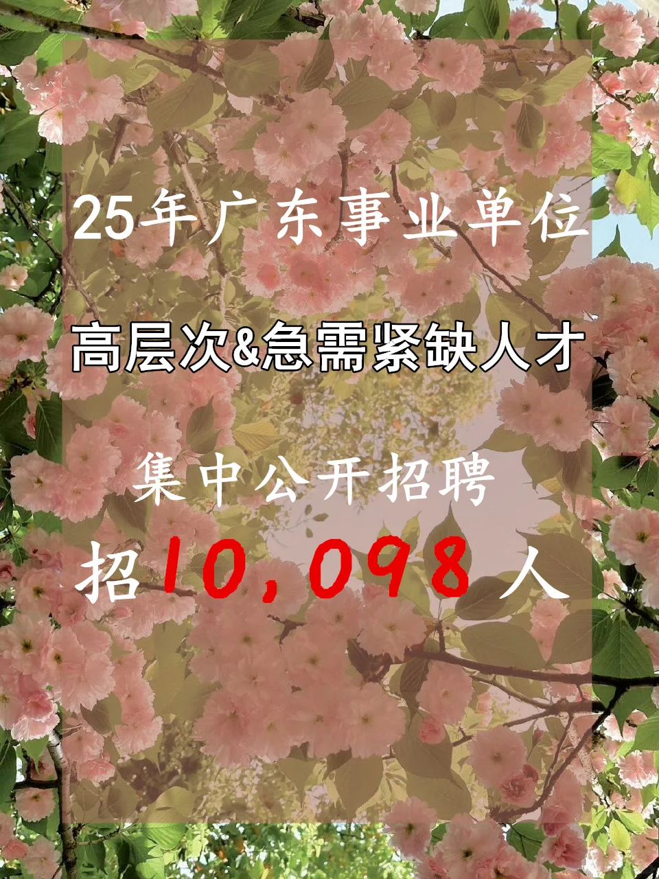 25广东公开招聘高层次和急需紧缺人才