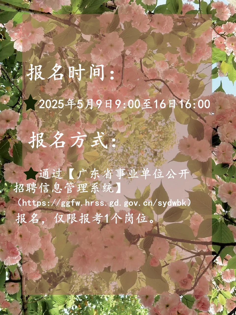 25广东公开招聘高层次和急需紧缺人才