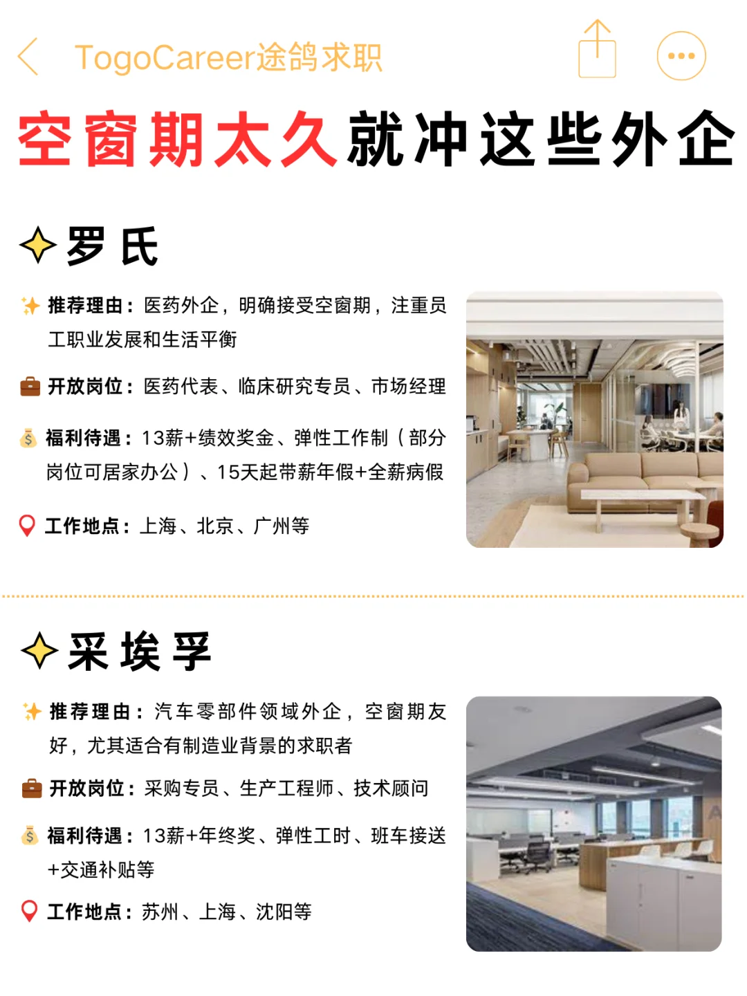 空窗期别焦虑！这些神仙外企真的能救急✨