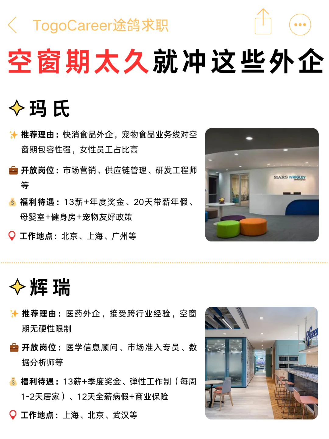 空窗期别焦虑！这些神仙外企真的能救急✨