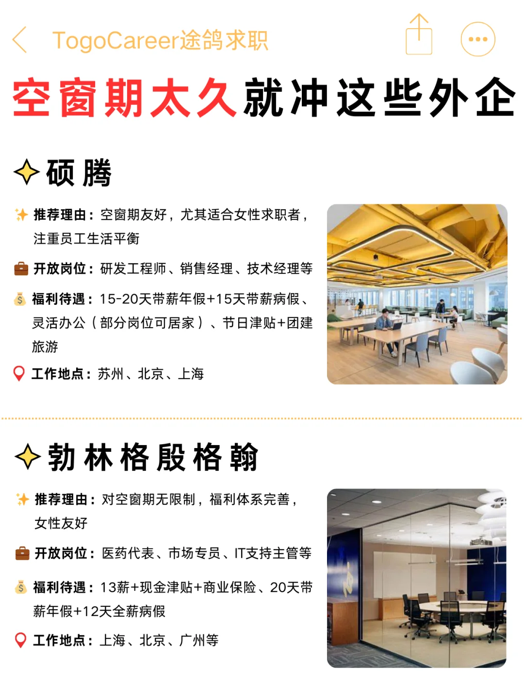 空窗期别焦虑！这些神仙外企真的能救急✨