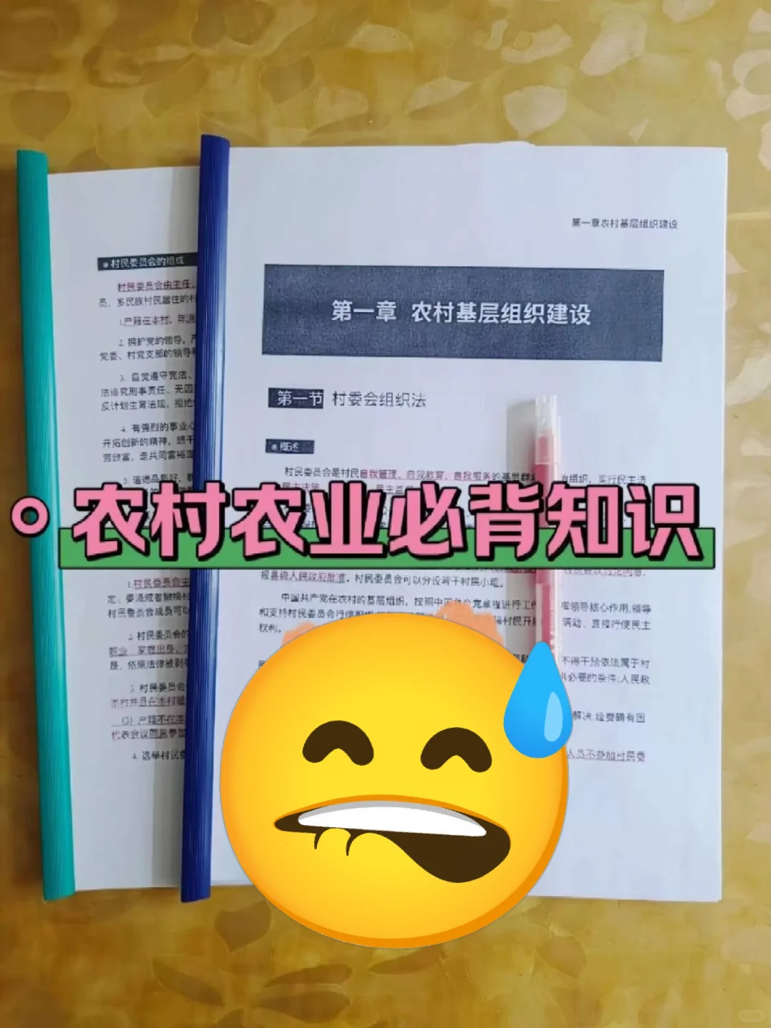 河北邯郸临漳县村务工作者，这把赢麻了！