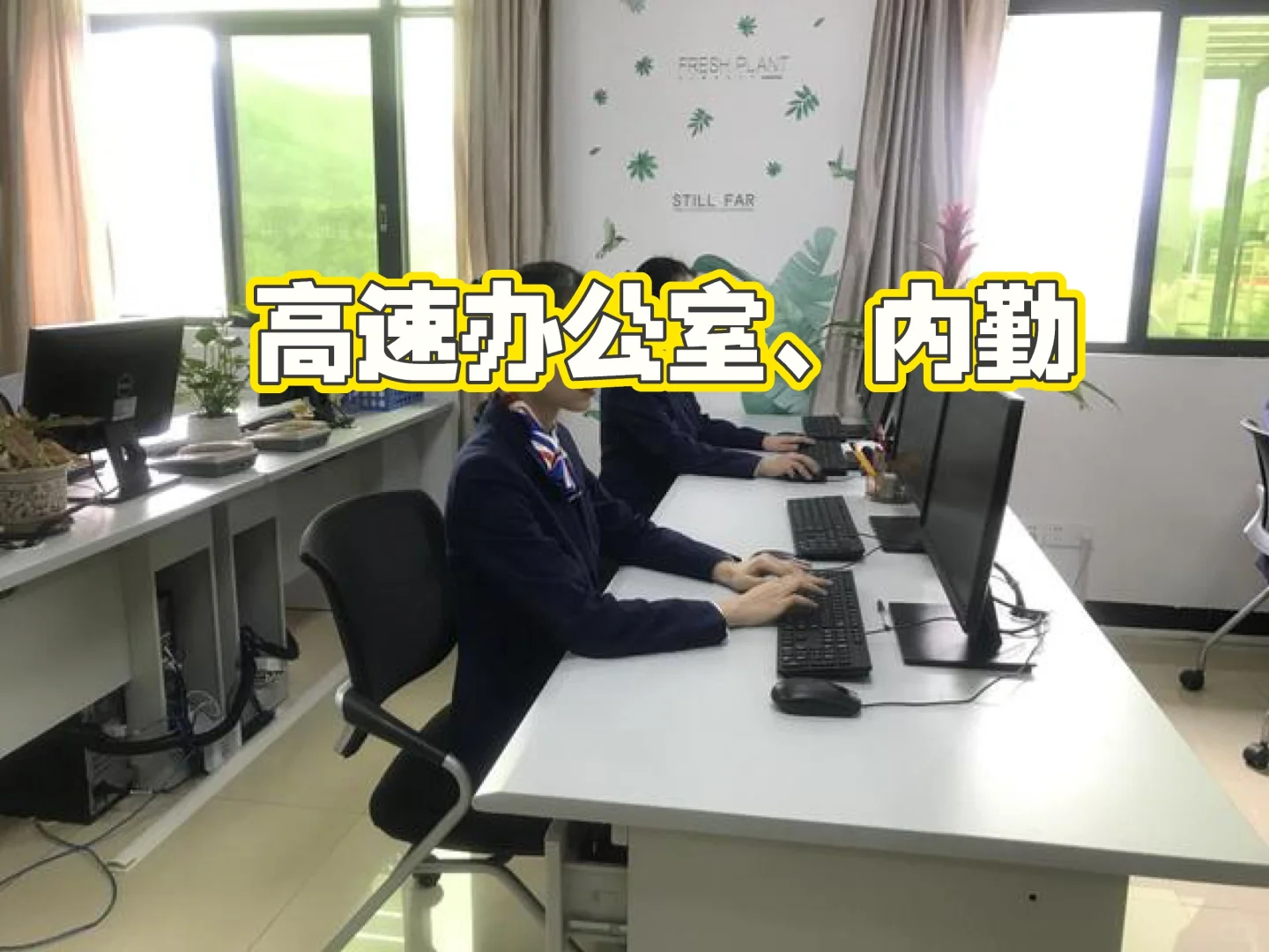 办公室、内勤岗位