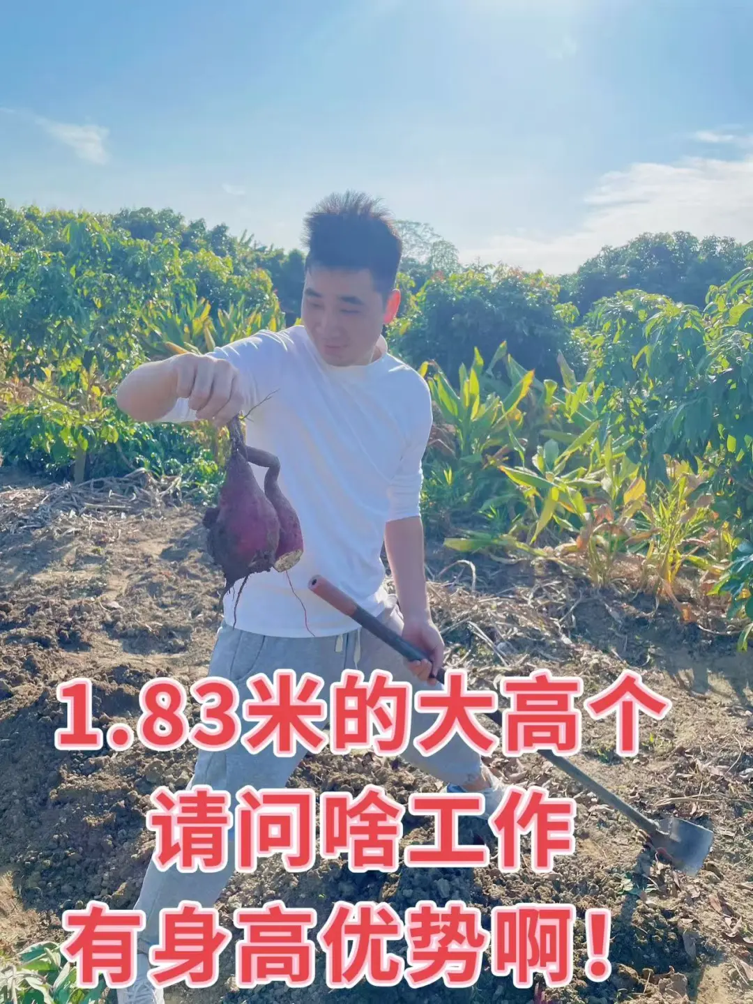 求一份有身高优势的工作，被社会毒打怕了