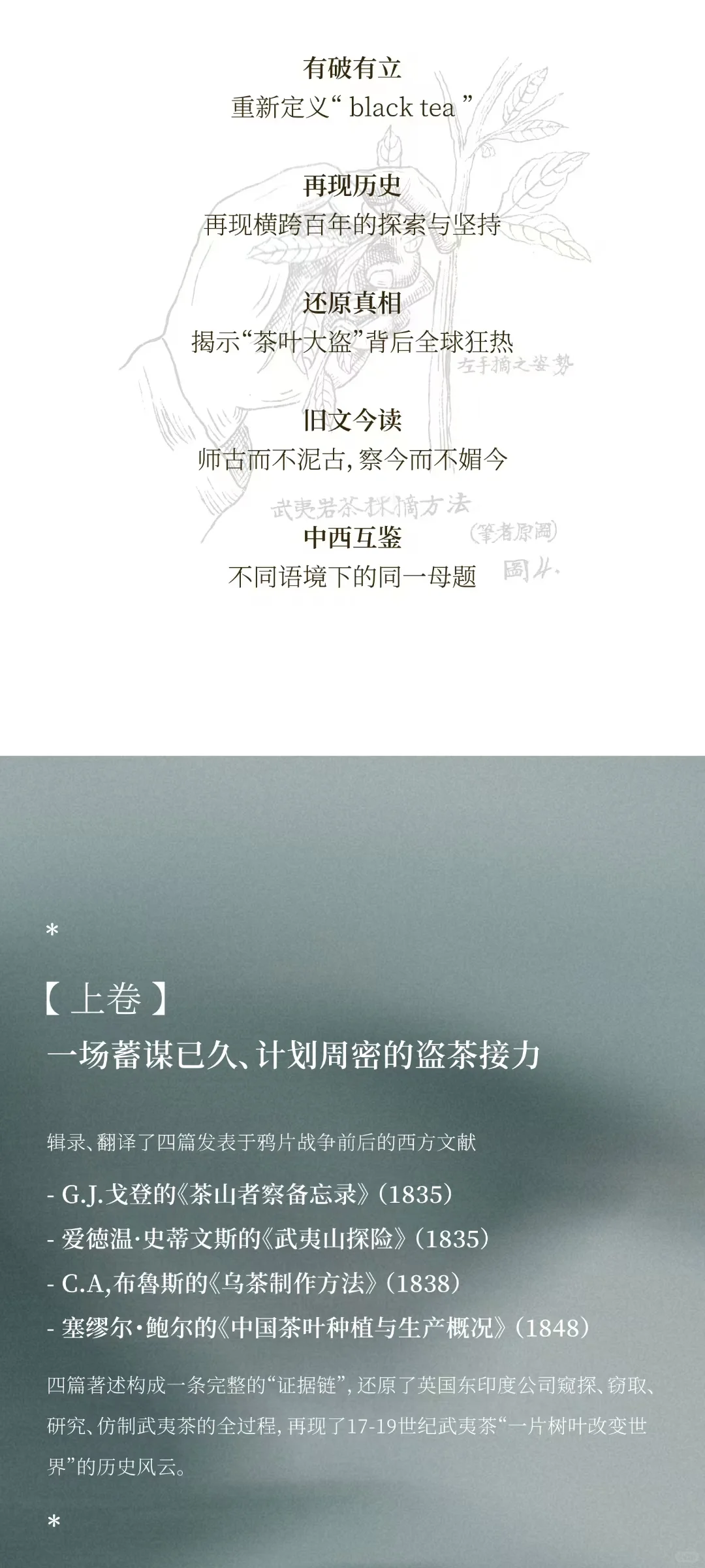 了解武夷茶全貌的一套书！