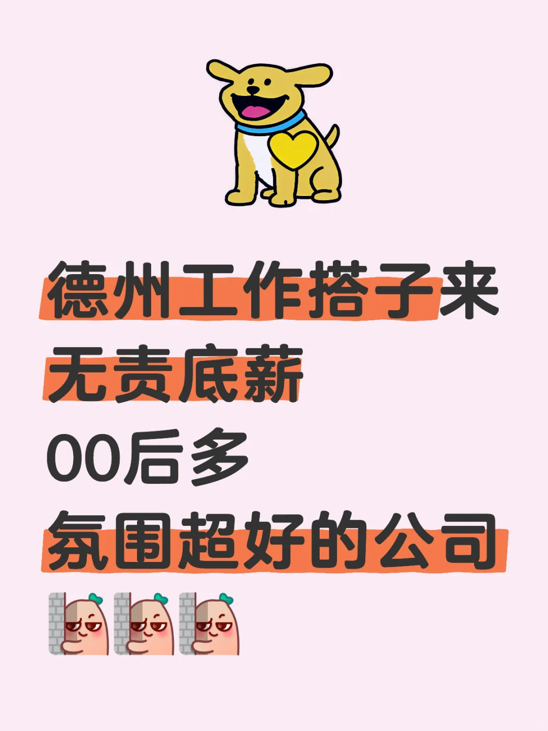 德州开发区工作推荐❗