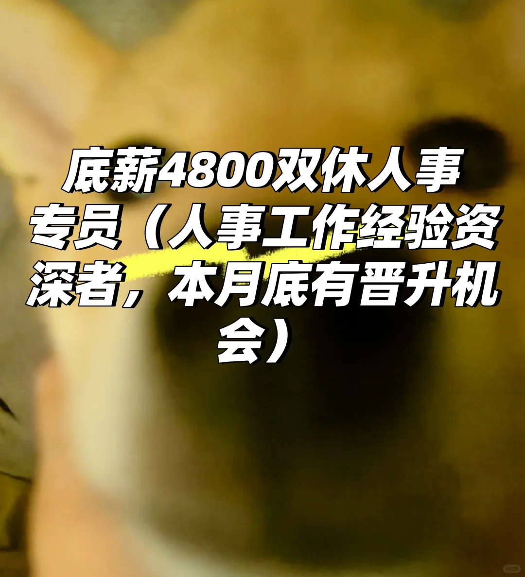奎文区人事底薪4800双休，来有经验的