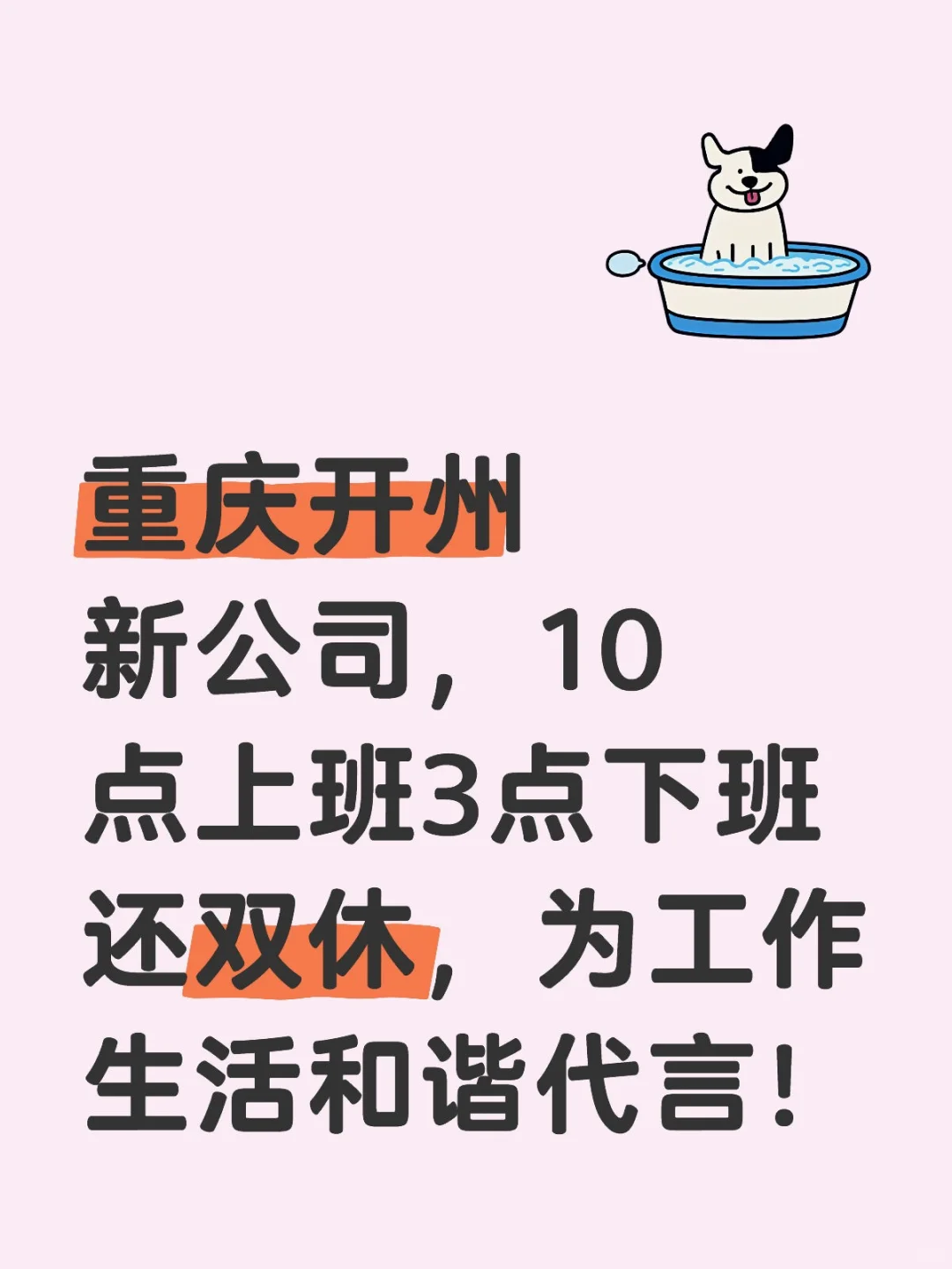 重庆开州新公司