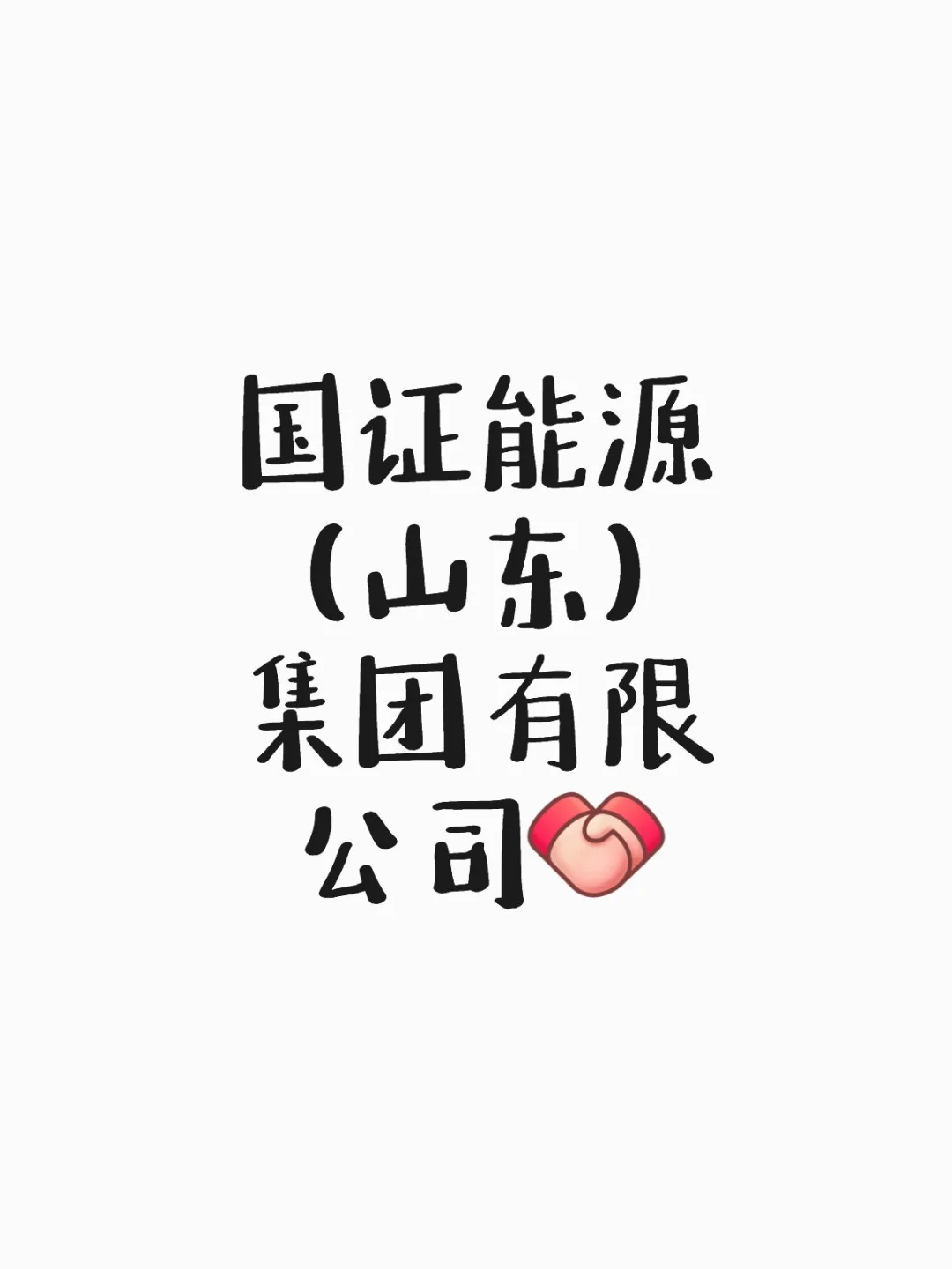 国证能源（山东）集团有限公司