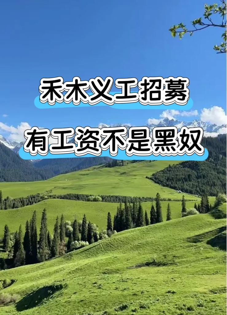 阿勒泰禾木义工招募