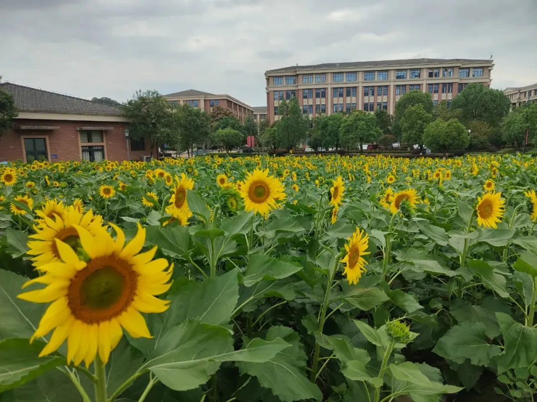 杭州师范大学2025年招聘教学科研人员公告