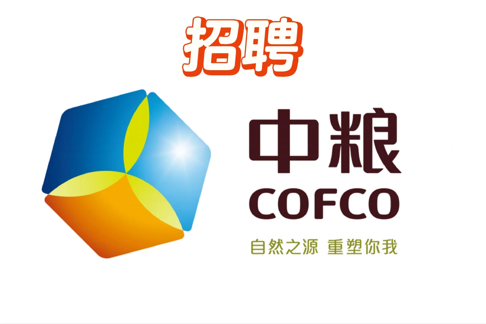 中粮某集团直签???