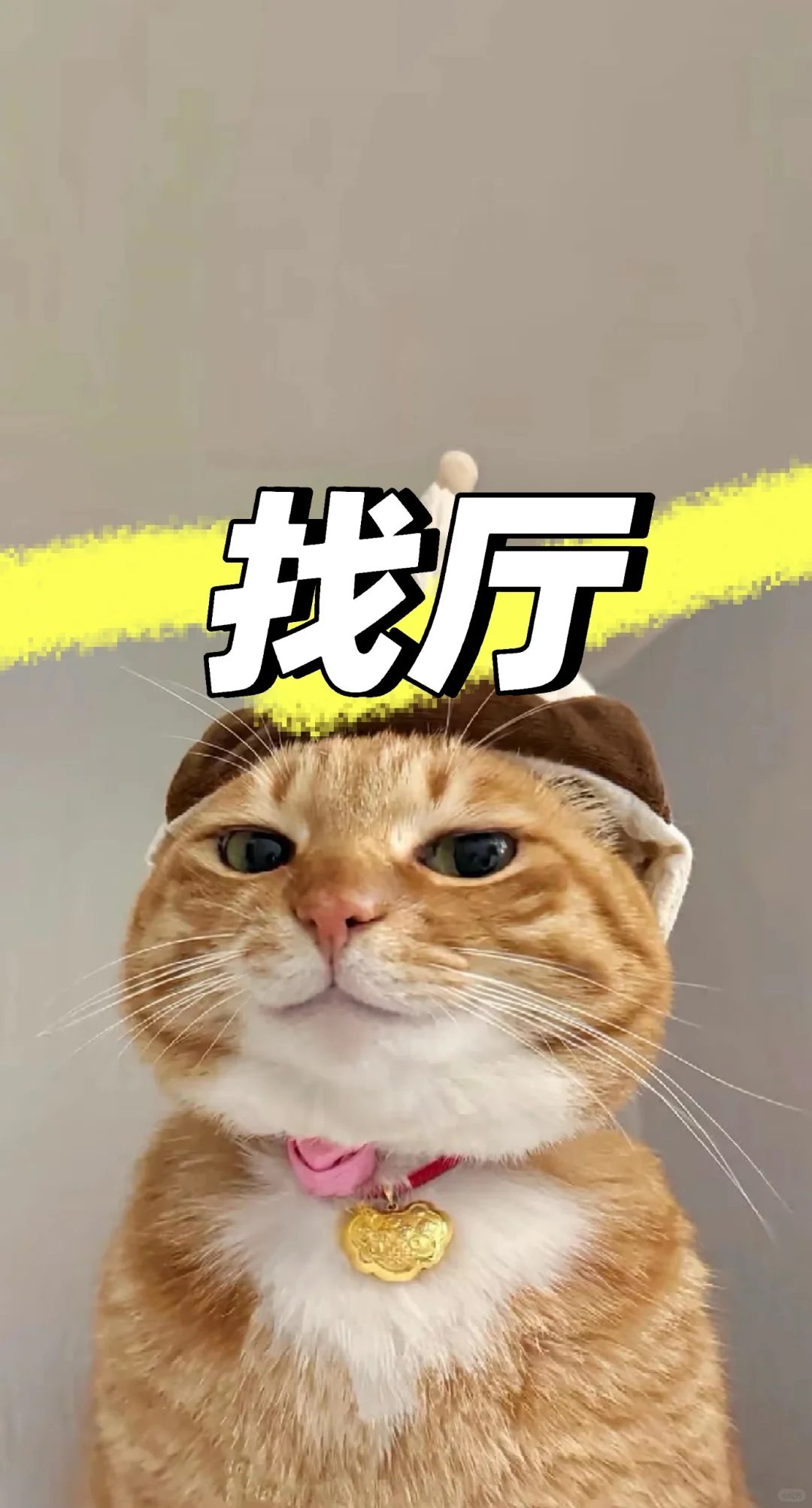 找找