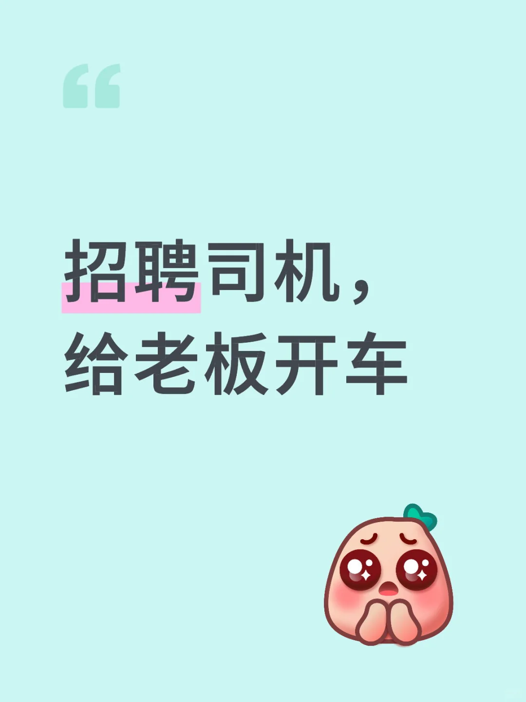 招聘司机，给老板开车，地址市中区玉函路
