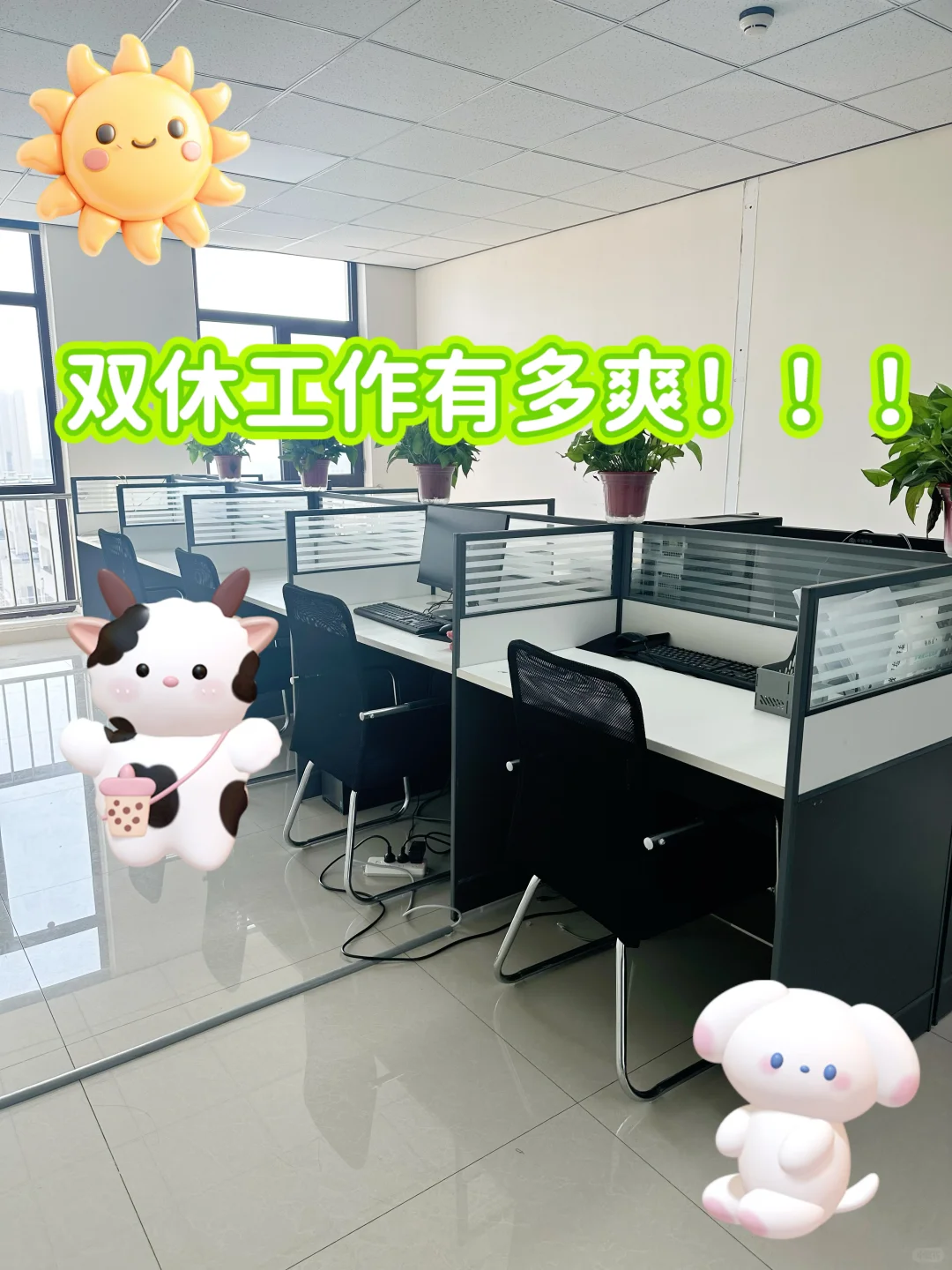保定！双休！