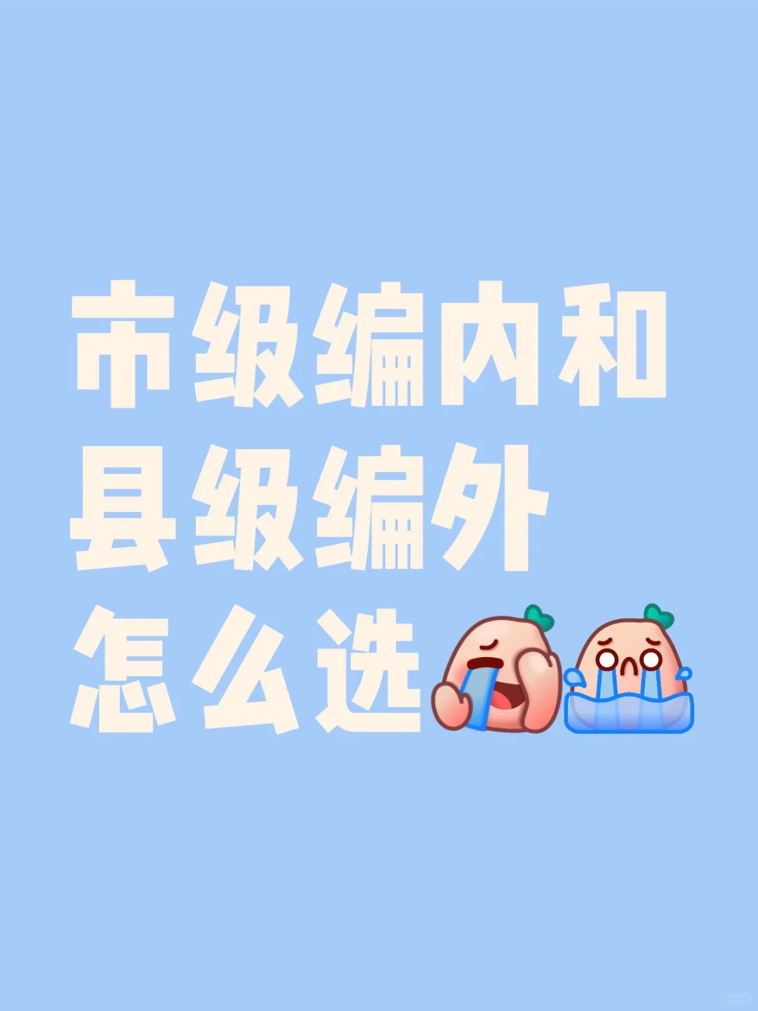 市级编内，县级编外 怎么选？